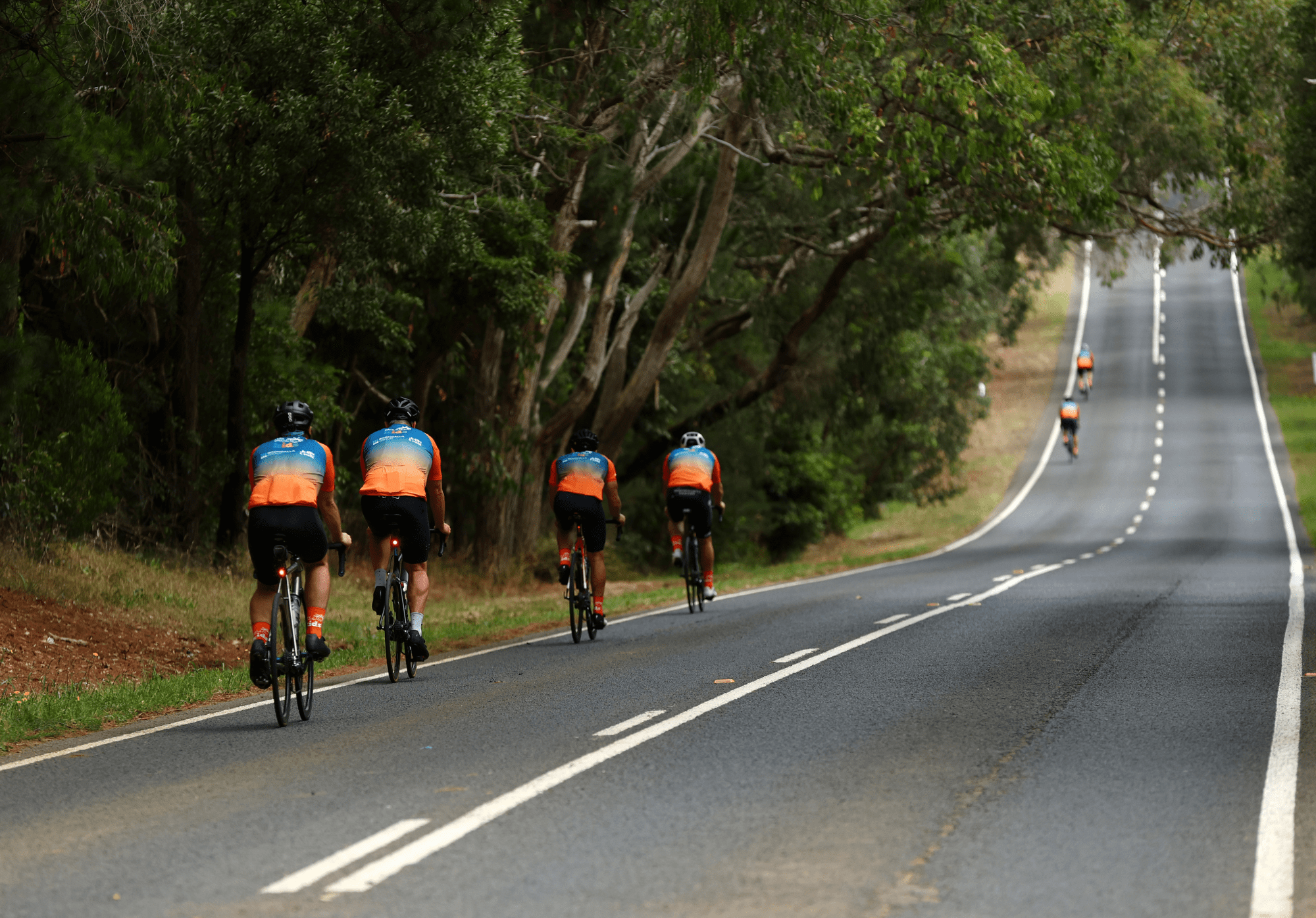 Cyclists are riding up a hill outdoors